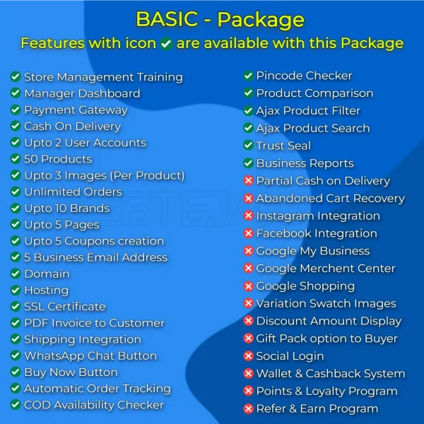 E-commerce website development in india delhi Online store development in Rs14999