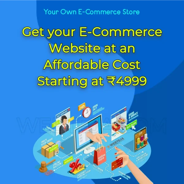 E commerce website development in india delhi Online store development starting Rs4999